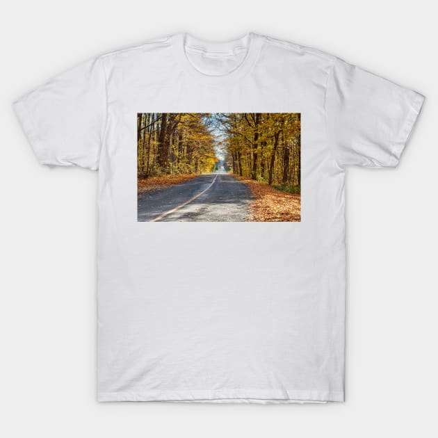 Fall Road 5 T-Shirt by Robert Alsop